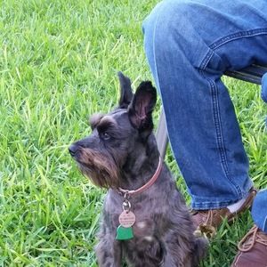 Meet your Posher, Nise